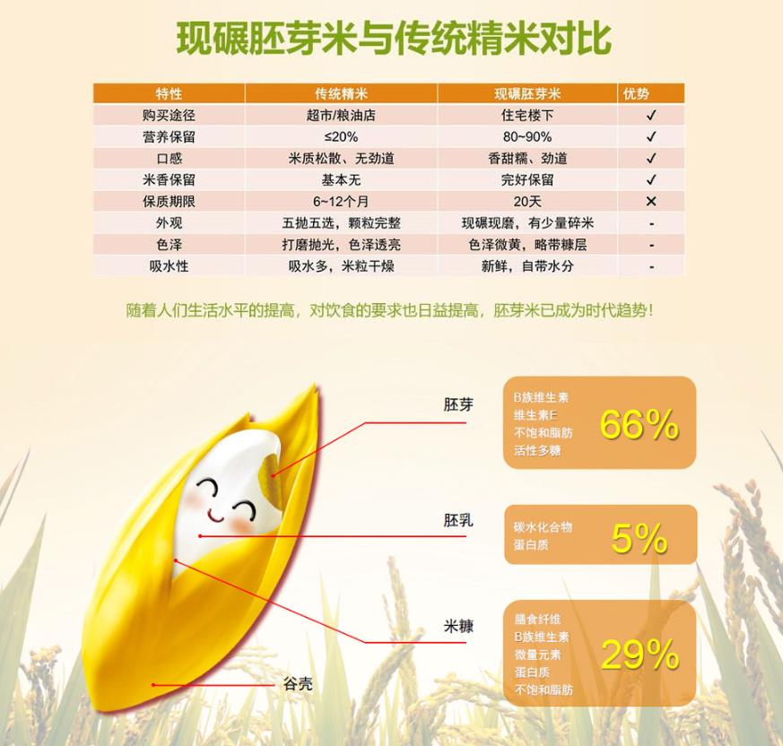 胚芽米機廠家